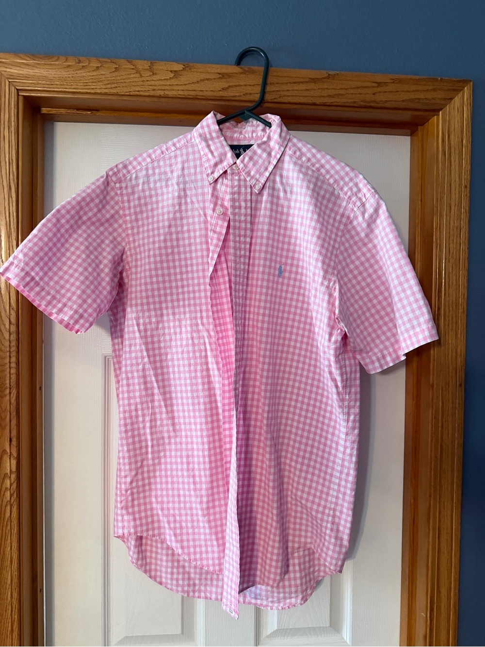 Polo by Ralph Lauren Pink Gingham Short-Sleeve Button-Down Shirt SMALL